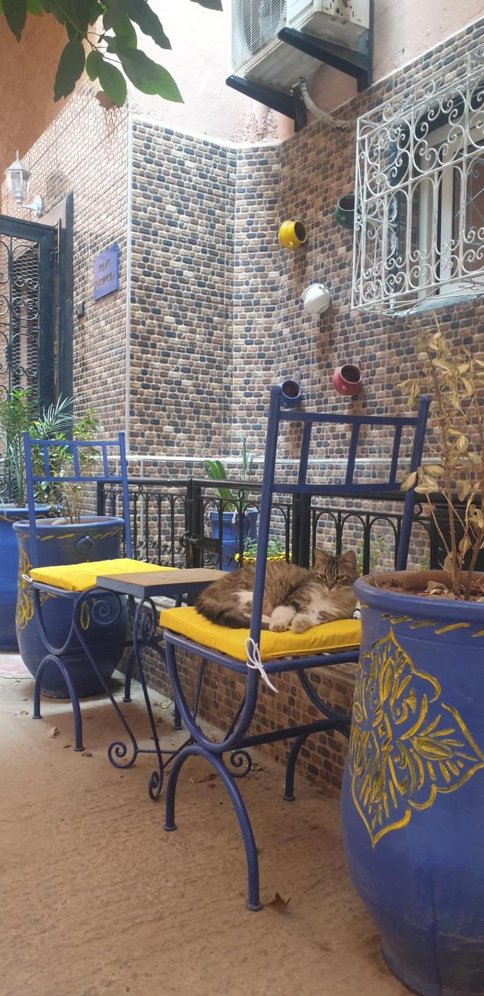 Riad Ramona Lqariya Seyaheya 마라케시 외부 사진